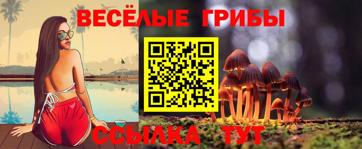 Псилоцибиновые грибы мухоморы  Псилоцибиновые грибы Cubensis  Вход с VPN  Нефтекамск 